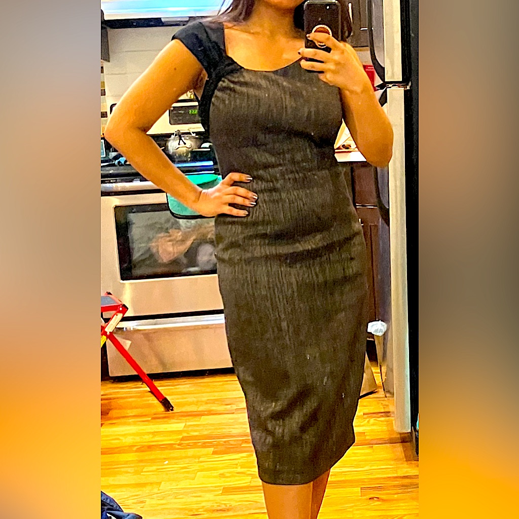 Bergdorf Goodman Velvet Wool Midi Dress - Mint Condition, Size 4